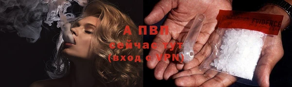 гашик Семилуки